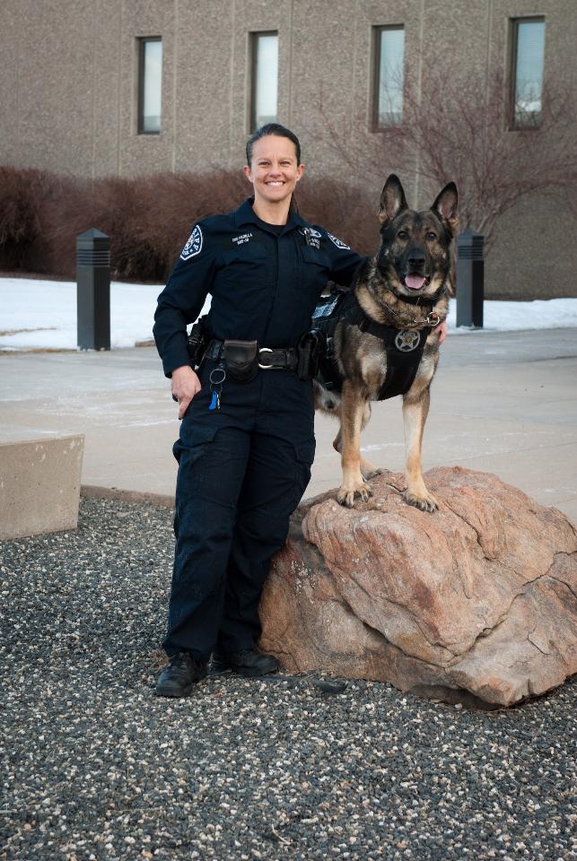 Handler standing with K9 BOLO.