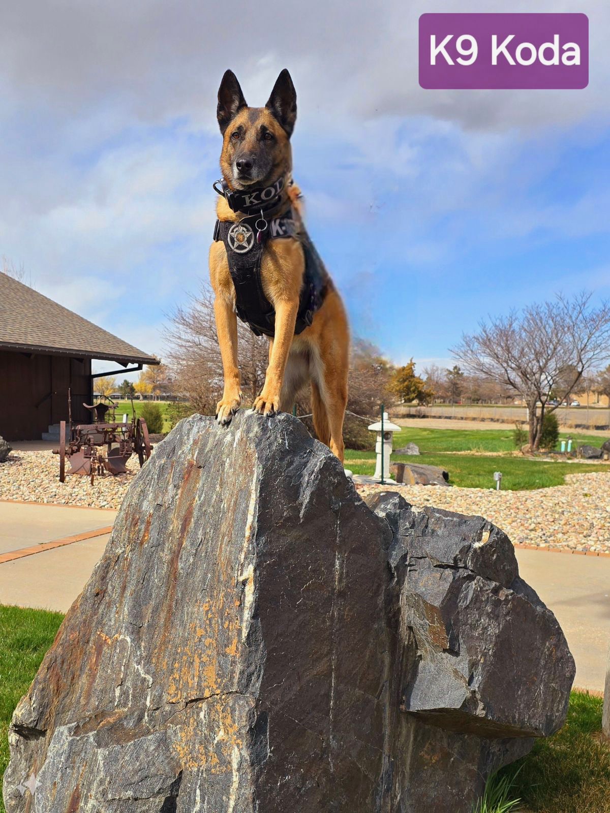 Koda with handler